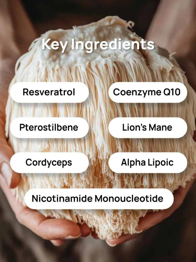 nad plus patch key ingredients including resveratrol coq10 lions mane cordyceps and nicotinamide mononucleotide for energy and longevity