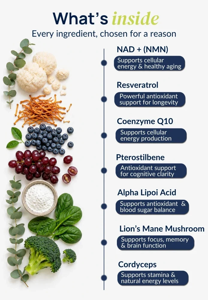 Ingredient overview of Duori NAD+ Patches featuring NMN, Resveratrol, CoQ10, Lion’s Mane, Cordyceps, and other wellness-supporting ingredients.