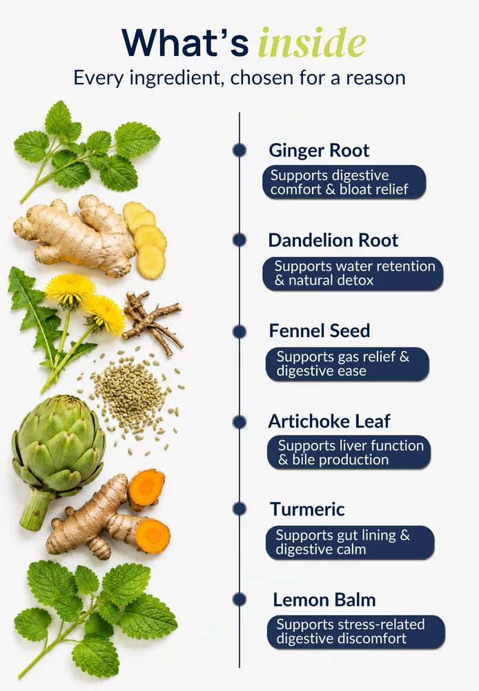 Ingredient breakdown of Duori Unbloat Patches featuring ginger root, dandelion root, fennel seed, artichoke leaf, turmeric, and lemon balm to support digestion, reduce bloating, promote gut comfort, and support digestive wellness.